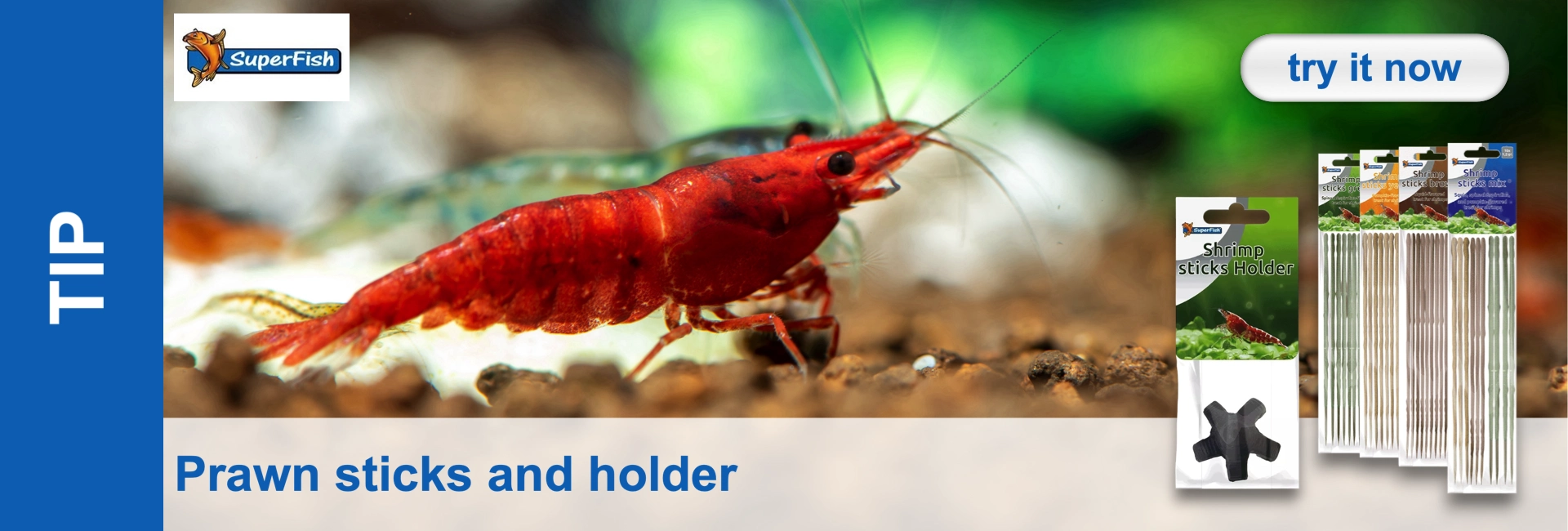 A red shrimp in the aquarium, in the background more shrimps, products for shrimp food.