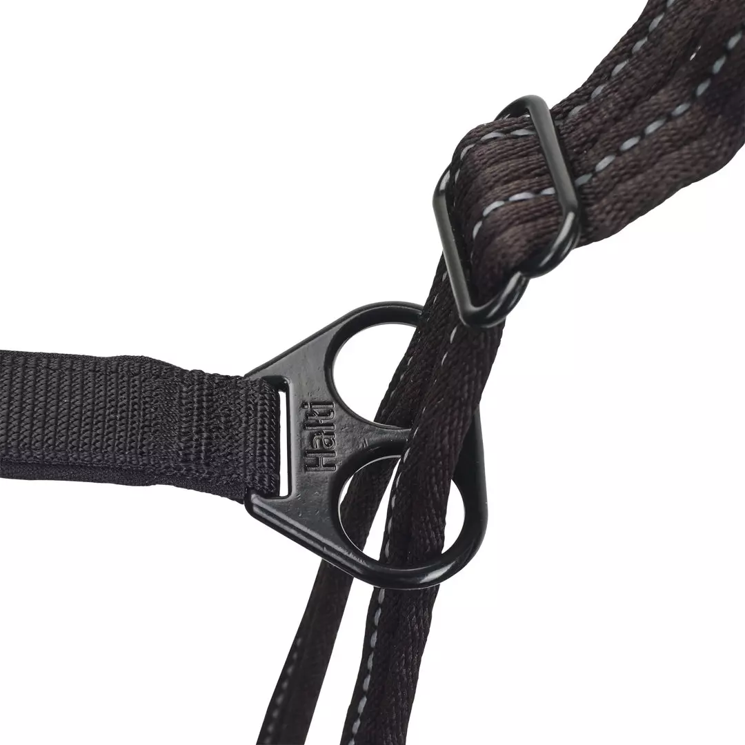 Harnais anti-traction