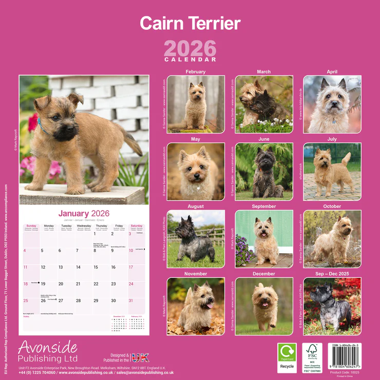 Kalender 2026 Cairn Terrier Kalender 2026 Cairn Terrier