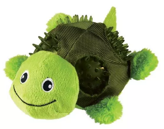 Kong Shells Turtle - Schildkröte