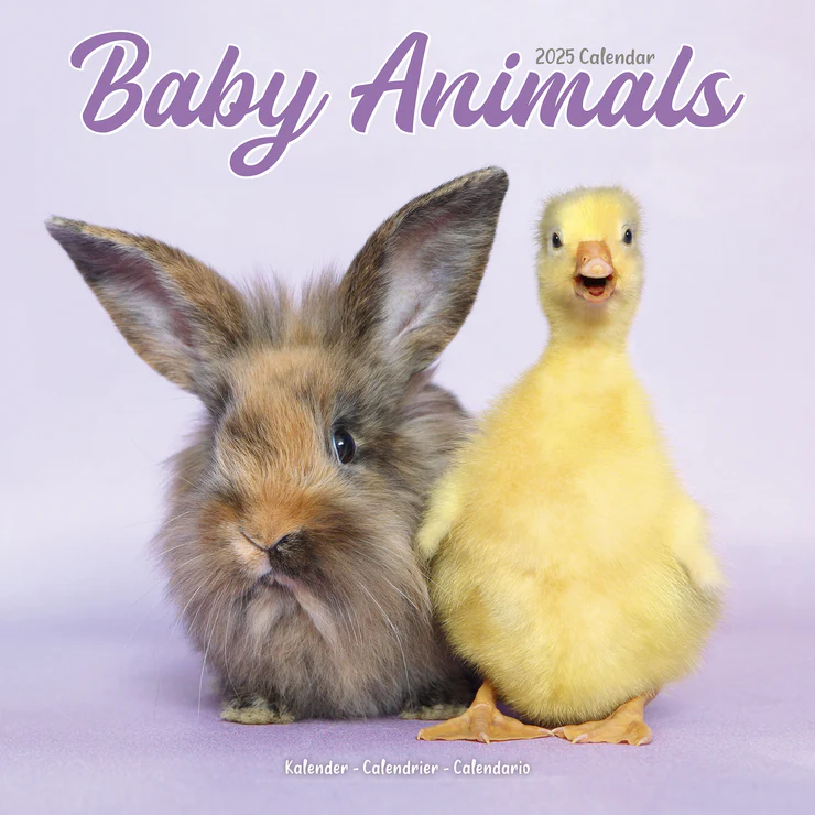 Kalender 2025 Tierkinder - Baby Animals