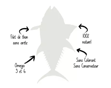 grafik-fisch my little Friandise traite le filet de thon