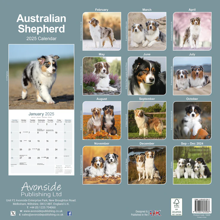 Kalender 2025 Australian Shepherd - Aussie
