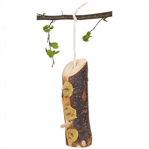 A bird feeder crafted from a dark tree trunk hangs from a white rope attached to a branch with fresh green leaves. The trunk features three round indentations filled with yellowish birdseed, and a small wooden stick serves as a perch for birds.