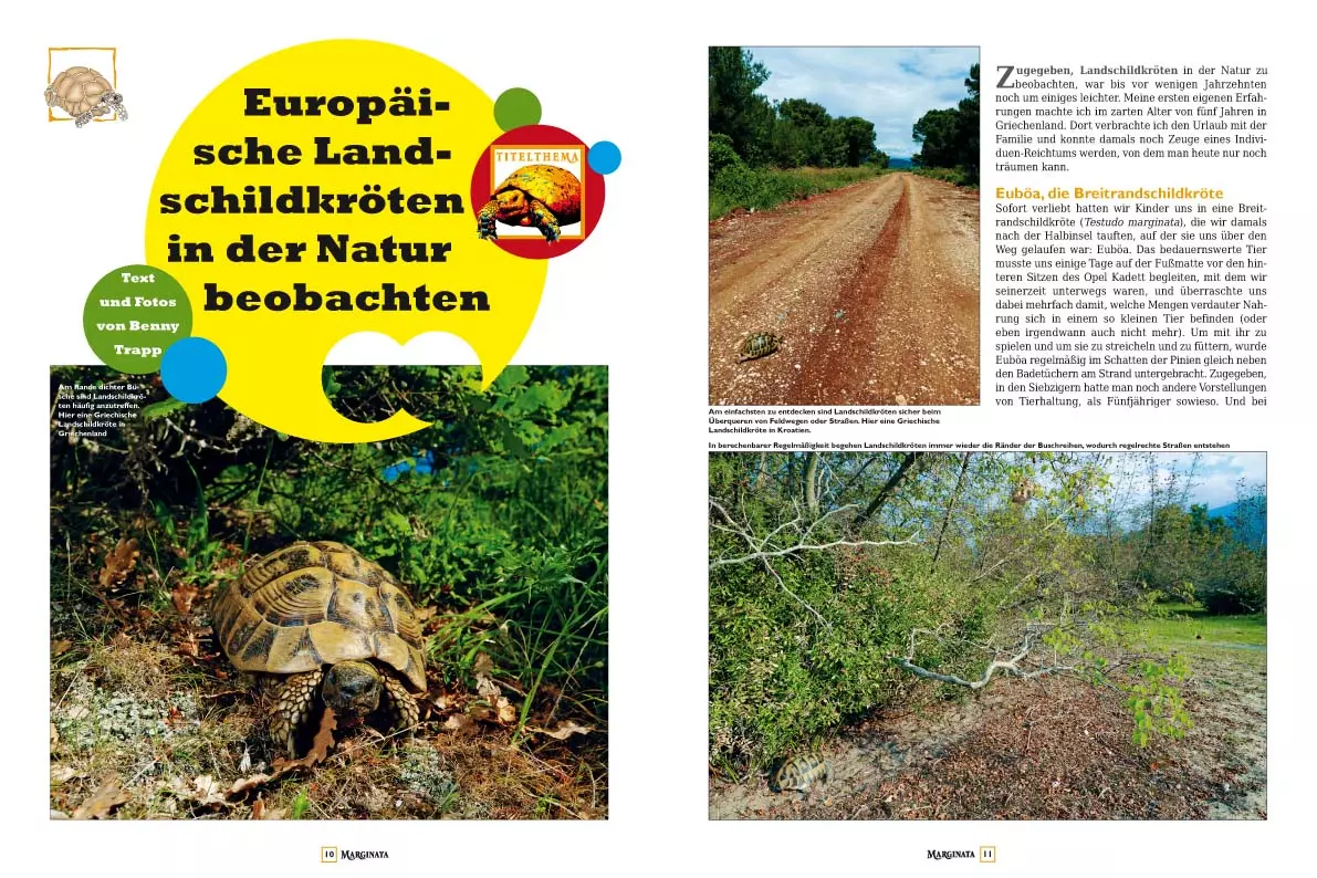 marginata-44-europaeische-landschildkroeten-2 Marginata 44 - Europäische Landschildkröten in der Natur beobachten