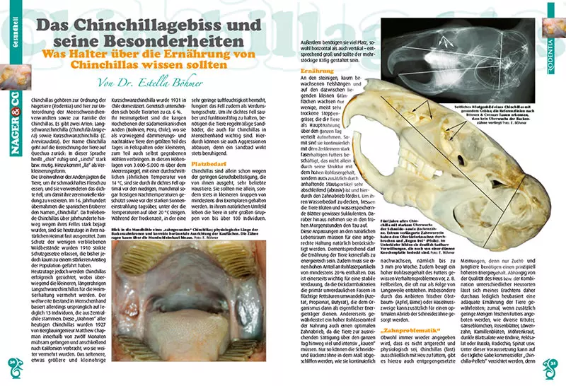 rodentia-85-traumgehege-fuer-kleinsaeuger-3 Rodentia 85 - Traumgehege für Kleinsäuger