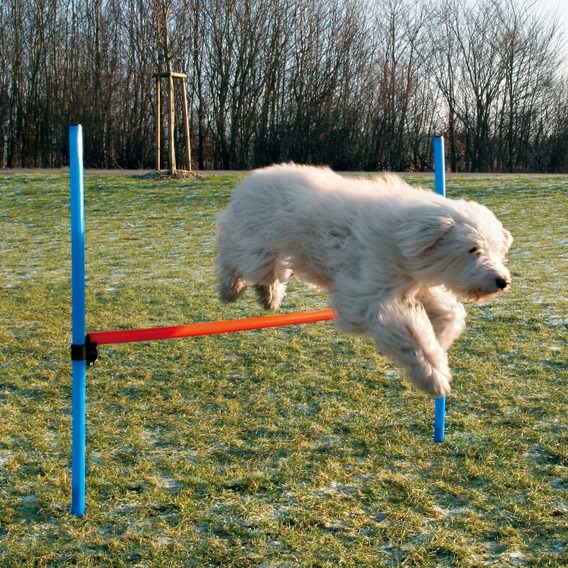 Dog Activity Agility Hürde, 123 x 115 x Ø 3 cm, blau/orange