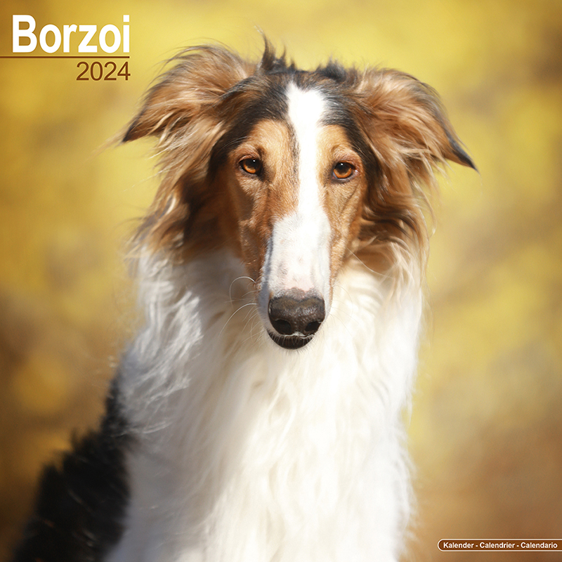Kalender 2024 Borzoi - Barsoi