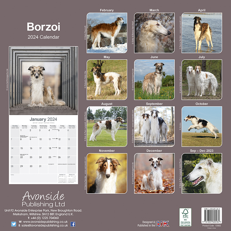 Kalender 2024 Borzoi - Barsoi