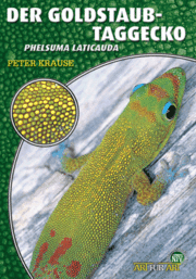 f211c25fa1199ea9c8df5fb655a22f2b Der Goldstaubtaggecko