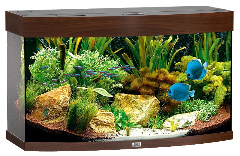 Juwel Aquarium Vision 180