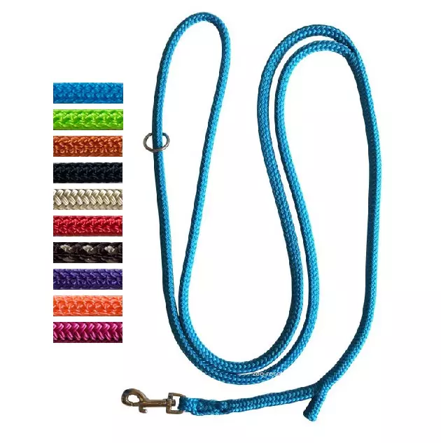 Dino-Leine, Nylon, Stufenlos verstellbar