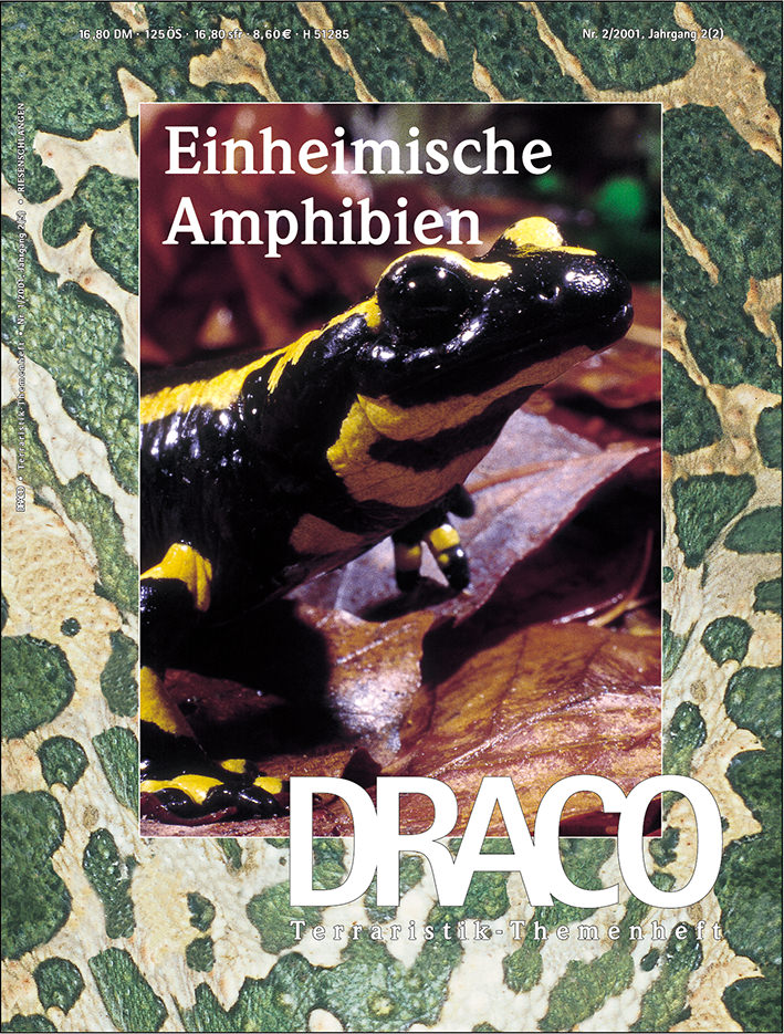 Draco 06 - Einheimische Amphibien