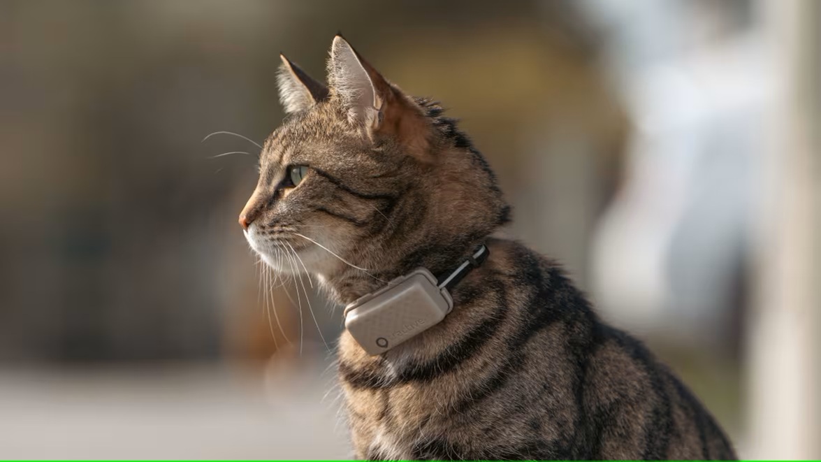 Tractive mini - GPS tracker for cats