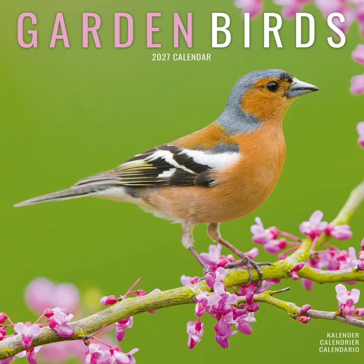 Kalender 2027 Gartenvögel - Garden Birds