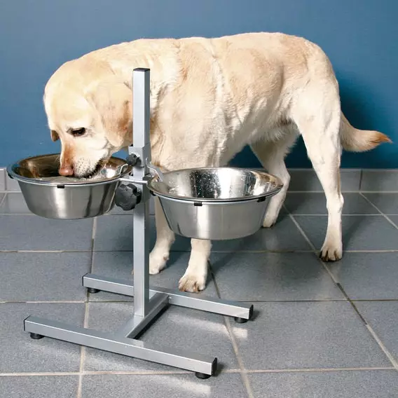 Hundebar mit 2 Edelstahlnäpfen