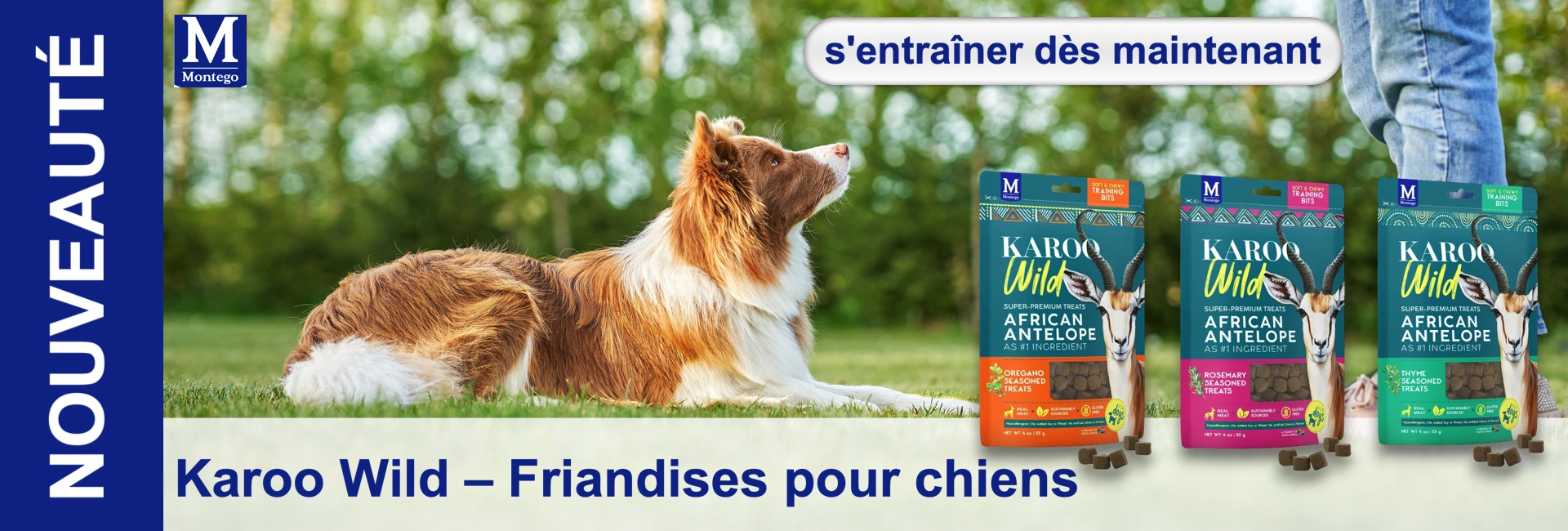 Un border collie brun et blanc est allongé sur l'herbe verte et regarde vers le haut. À droite : trois paquets de friandises Karoo Wild (antilope africaine) et quelques friandises. Arbres flous en arrière-plan. Dressage/récompense.