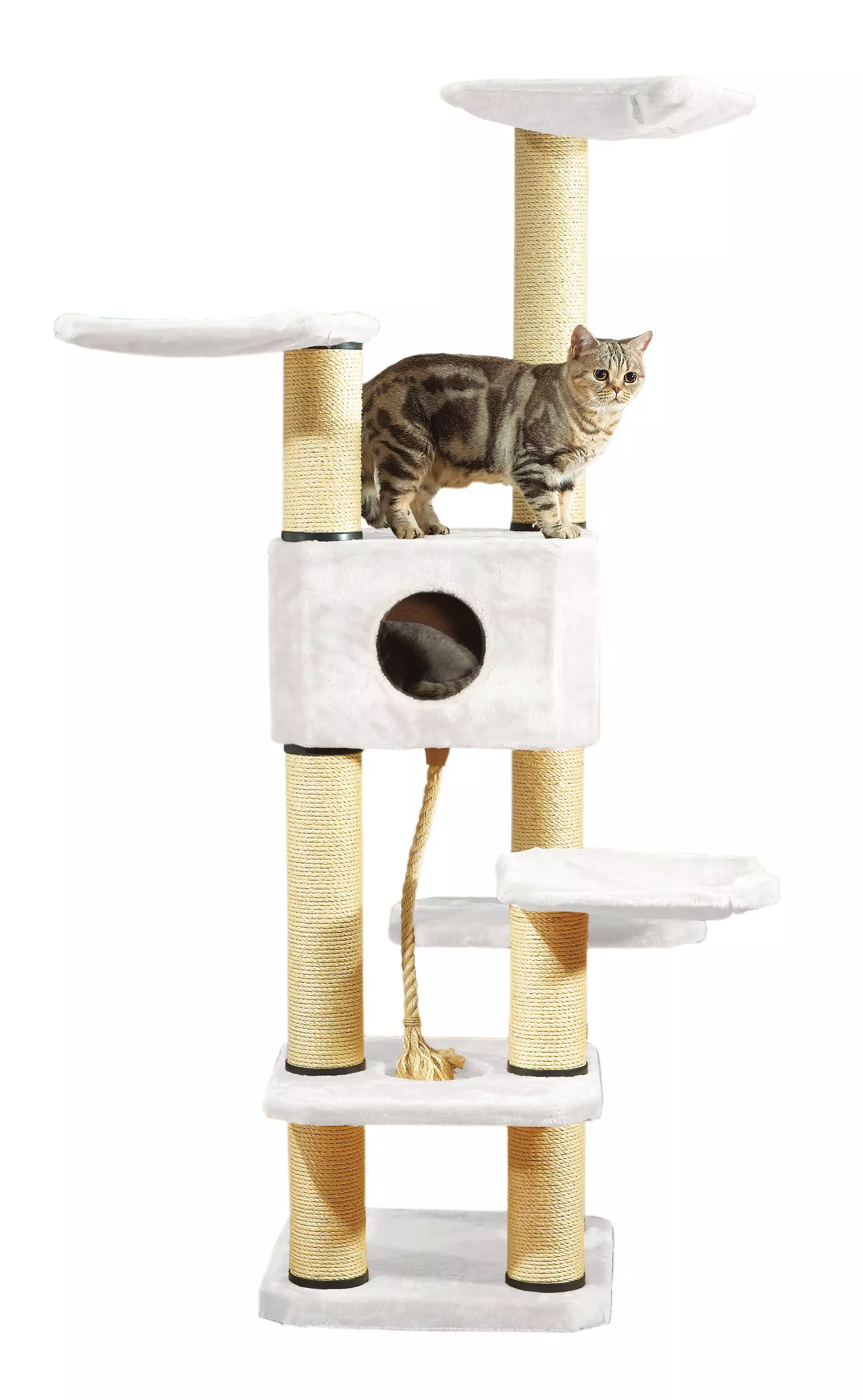 Swisspet Scratching Tree Annabelle
