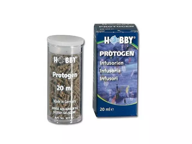 Hobby Protogen Infusorien