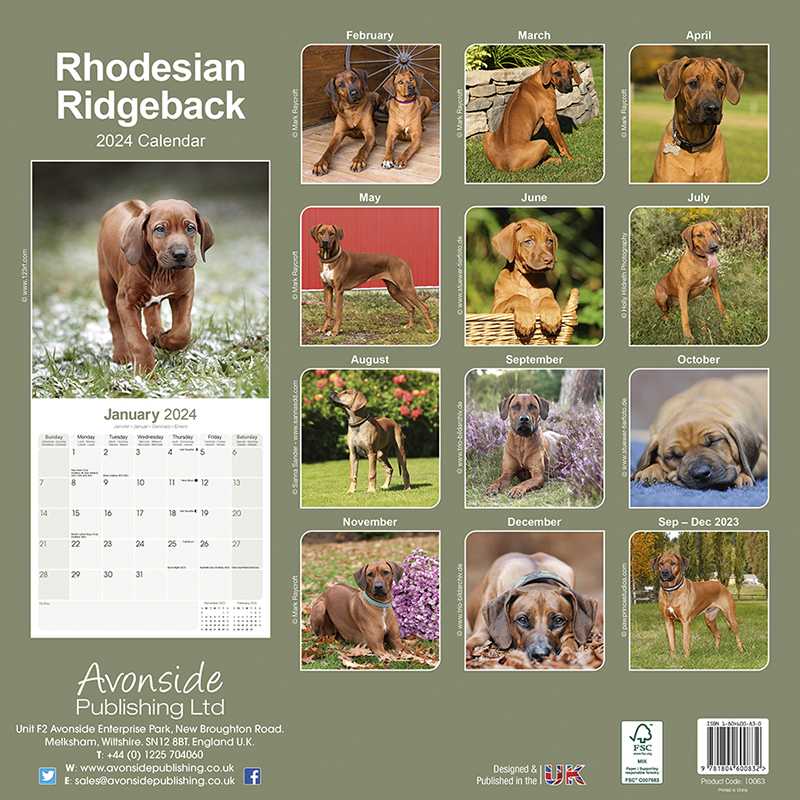 Kalender 2024 Rhodesian Ridgeback
