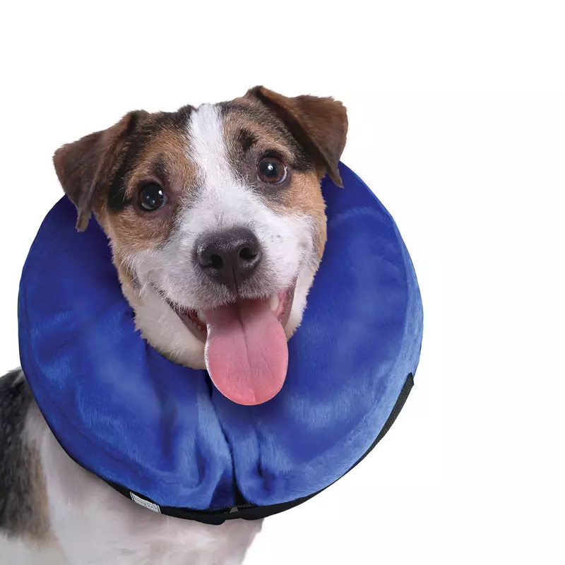 Kong Clouds Collar 