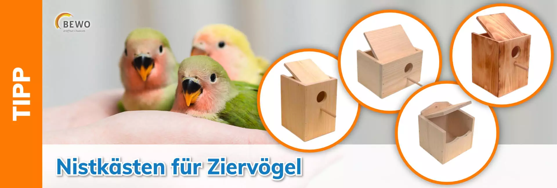 BEWO Nistkästen für Ziervögel