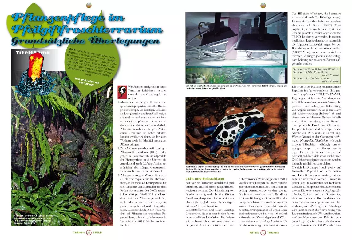 reptilia-123-3 Reptilia 123 - Bepflanzung von Pfeilgiftfrosch-Terrarien