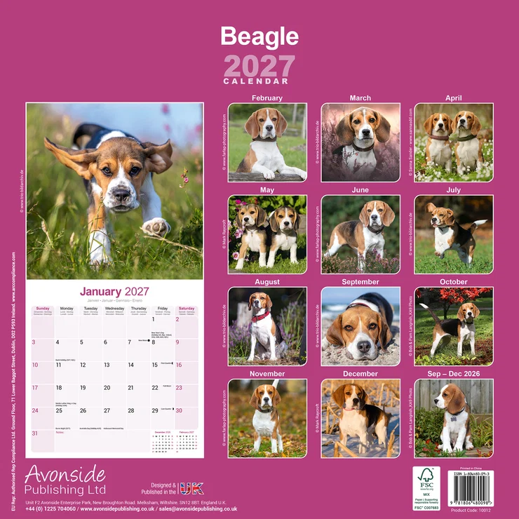Kalender 2027 Beagle