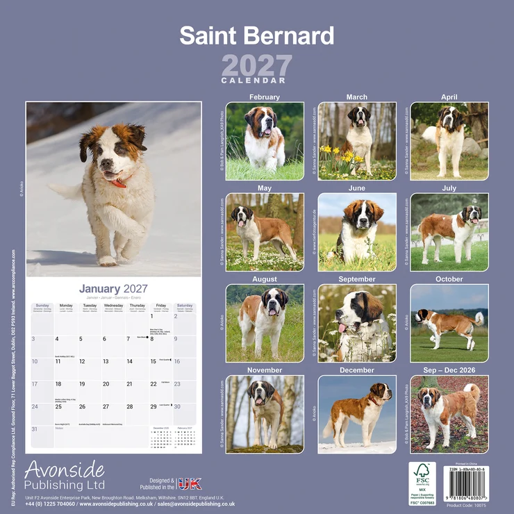 Kalender 2027 Bernhardiner - St. Bernhardshund - Saint Bernhard
