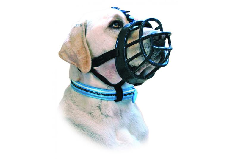 Cane di colore chiaro con collare a righe bianche e blu, con museruola Baskerville Ultra nera.