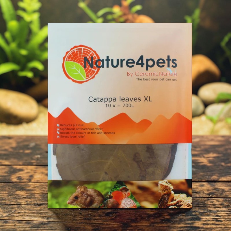 Nature4pets Catappa leaves XL Packung für Aquarien auf Holztisch vor unscharfem Aquarium. Bewirbt 10 Blätter für 700 L: pH-senkend, antibakteriell, Farbverstärkung bei Fischen/Garnelen. Getrocknete Blätter sichtbar.