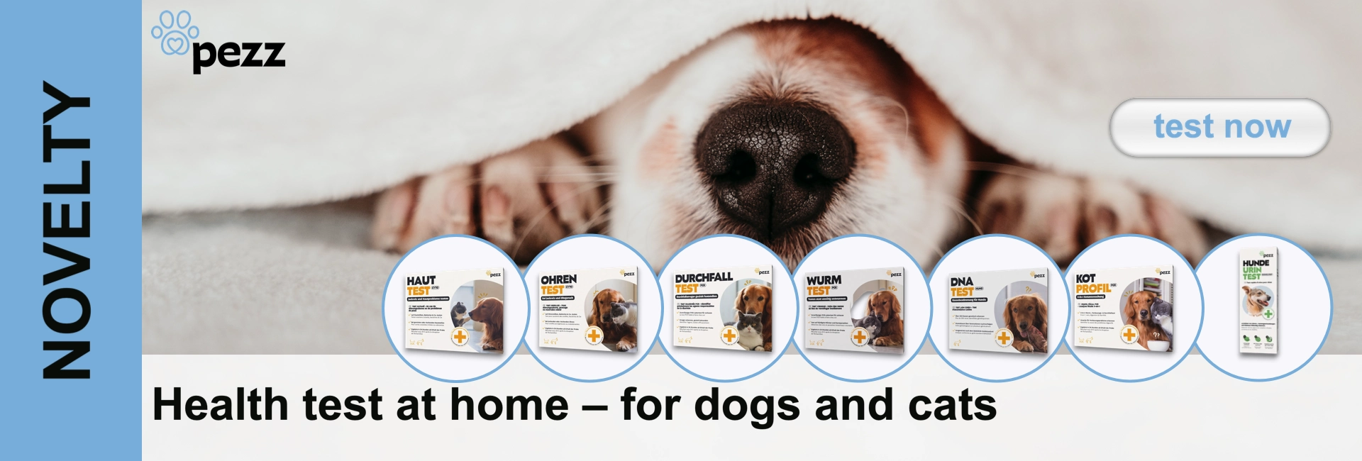 Dog with a black nose under a blanket, including health test kits for dogs and cats.