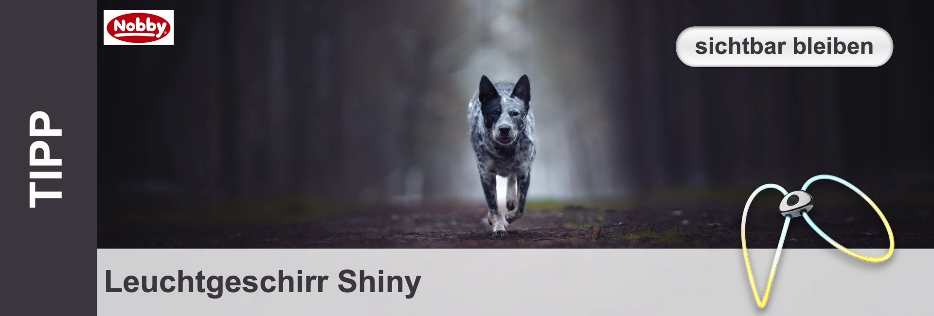 Ein grau-gesprenkelter Hund rennt auf einem schattigen Waldweg auf den Betrachter zu, umgeben von verschwommenen Bäumen und Dunst. Beworben wird das Nobby "Leuchtgeschirr Shiny" für mehr Sichtbarkeit im Dunkeln: "sichtbar bleiben".