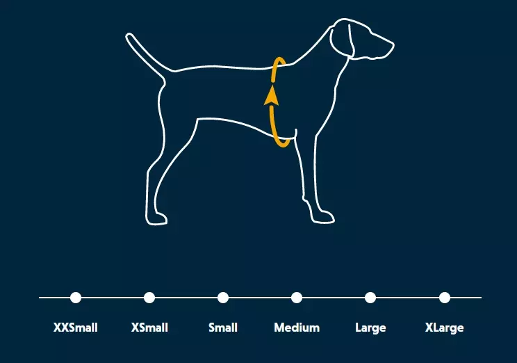Overcoat Fuse Dog Coat