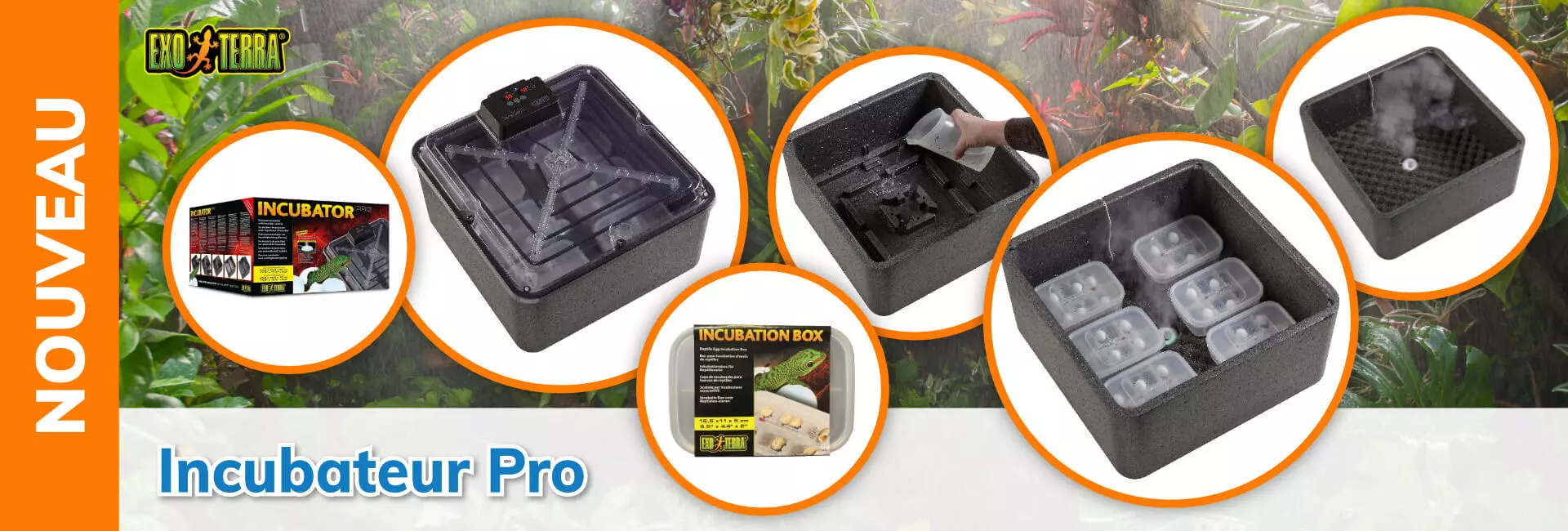 Exo Terra Incubateur Pro