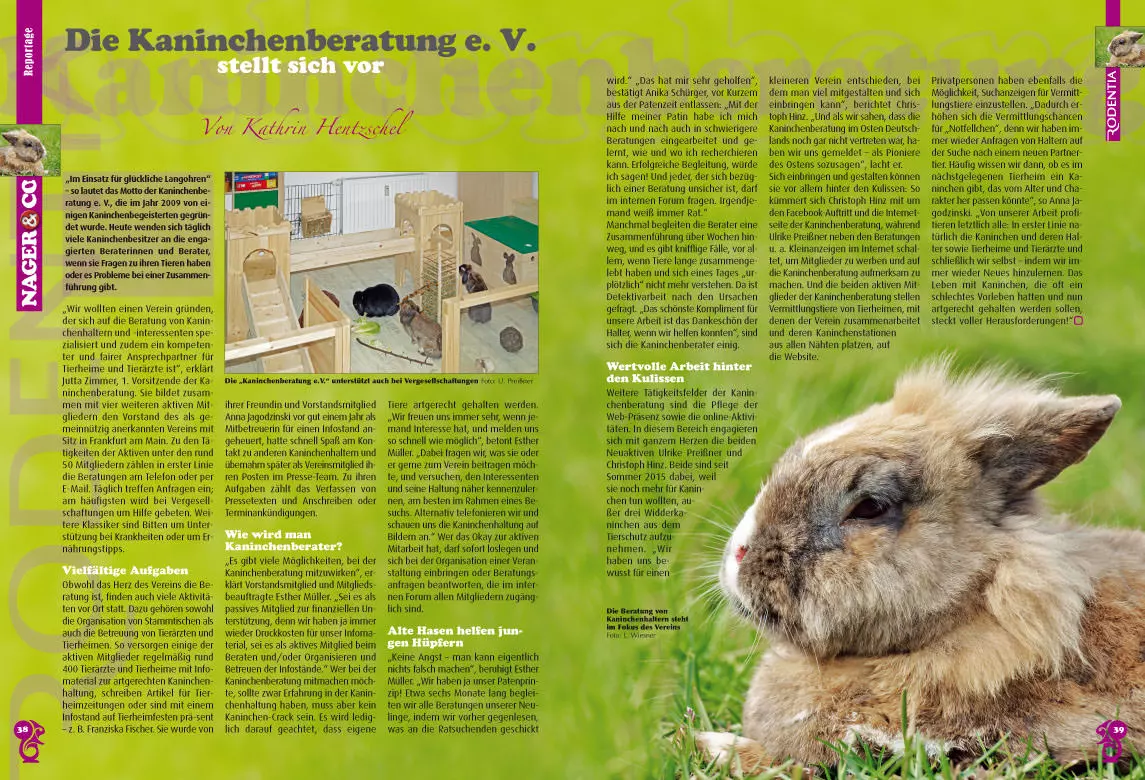 rodentia-89-adoption-ein-kleintier-aus-zweiter-hand-2 Rodentia 89 - "Adoption", ein Kleintier aus zweiter Hand