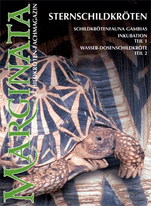 Marginata 04 - Sternschildkröten
