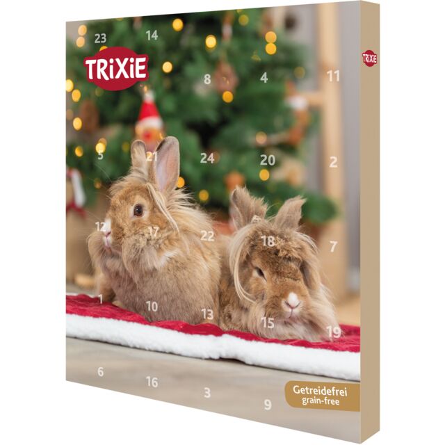 Advent calendar rodent