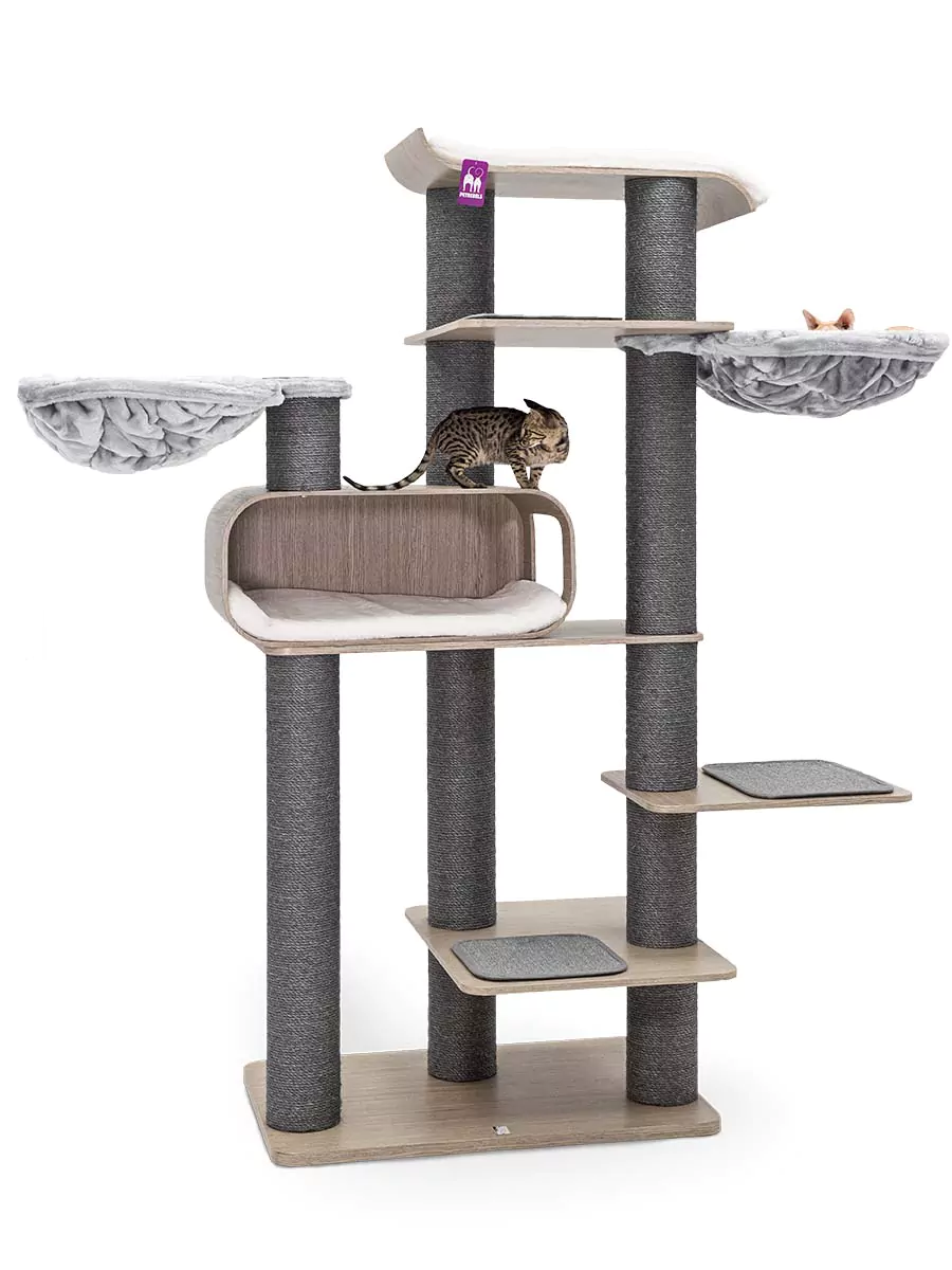 petrebels-virgo-200-old-grey-1 petrebels-virgo-200-old-grey-1