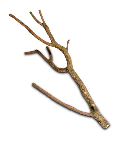 Tronchos Cork-Branches