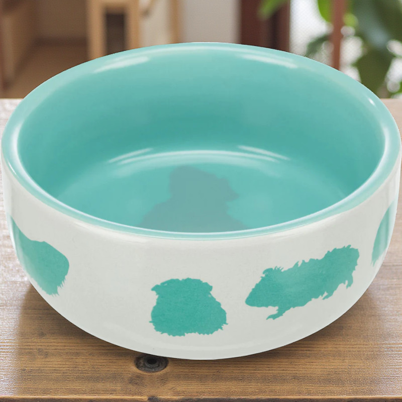 Ecuelle en céramique motif cochon d'Inde 