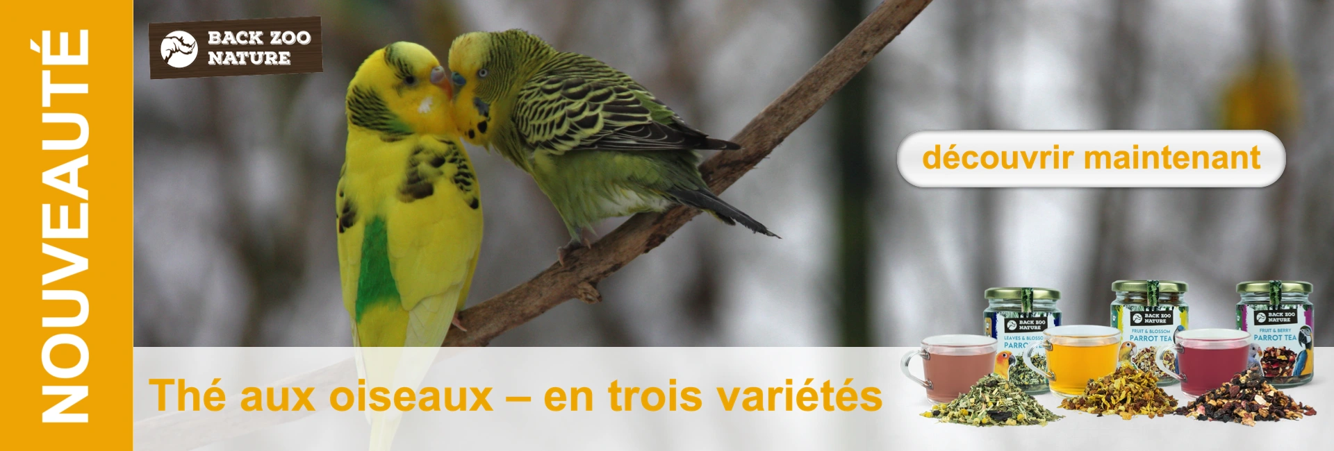 Deux perruches jaunes et vertes sont perchées sur une branche. Trois verres de thé et des tasses de thé se trouvent au premier plan.