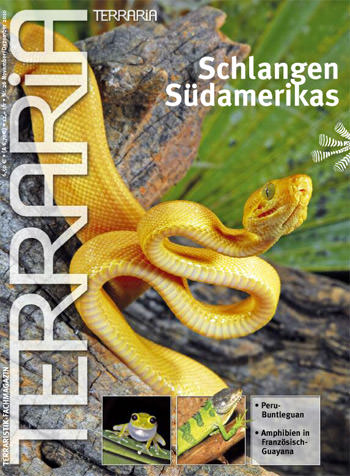 Terraria Nr. 26 - Schlangen Südamerikas