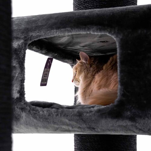 Un gatto marrone chiaro dal pelo soffice è seduto rilassato in una comoda tana di un tiragraffi grigio scuro. Guarda attentamente a destra dall'apertura. Alla sua sinistra, dal soffitto della tana pende un piccolo cartellino viola del prodotto.
