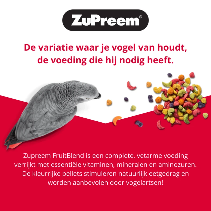 Pappagallo grigio davanti a pellet colorati di mangime per uccelli. Pubblicità per ZuPreem FruitBlend: mangime ricco di vitamine, raccomandato dai veterinari ornitologi, nei colori rosso, verde, giallo e arancione.