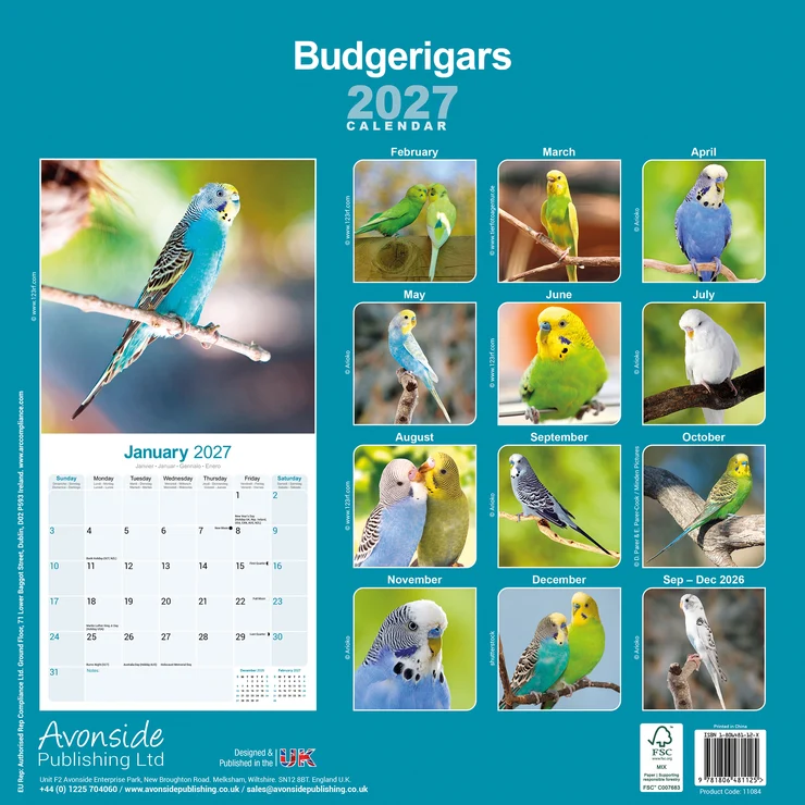 Kalender 2027 Wellensittich - Budgerigars