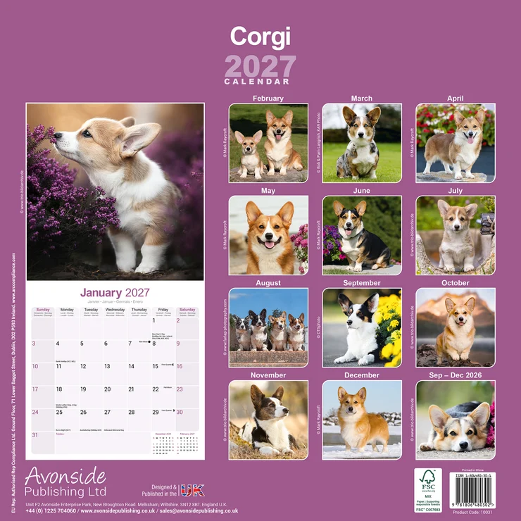Calendrier 2024 Welsh Corgi Pembroke et Cardigan