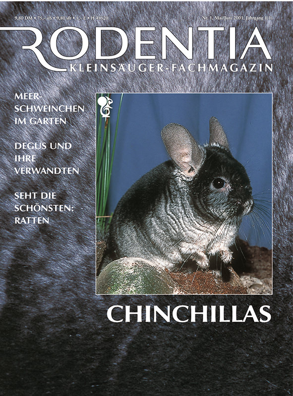 Rodentia 01 - Chinchillas