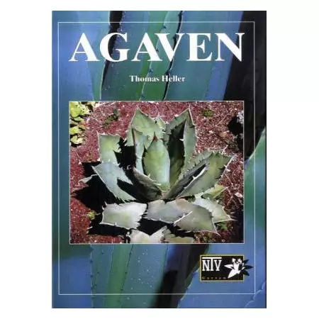 NTV Agaven
