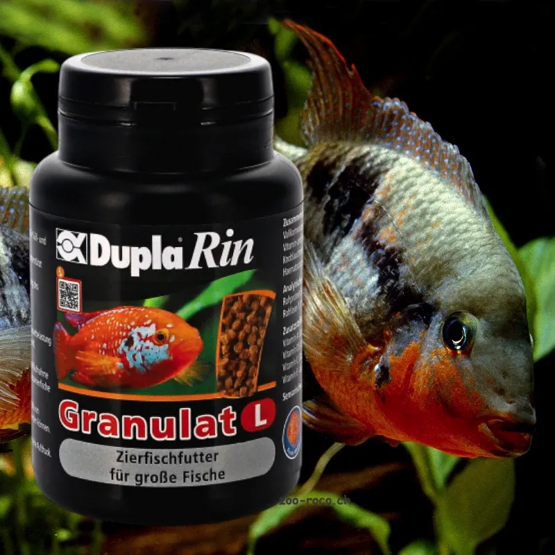 Schwarze Dose DuplaRin Granulat L mit Fischfutter Text. Dahinter Zierfisch mit rot-orangefarbenen Akzenten vor dunklem Hintergrund.